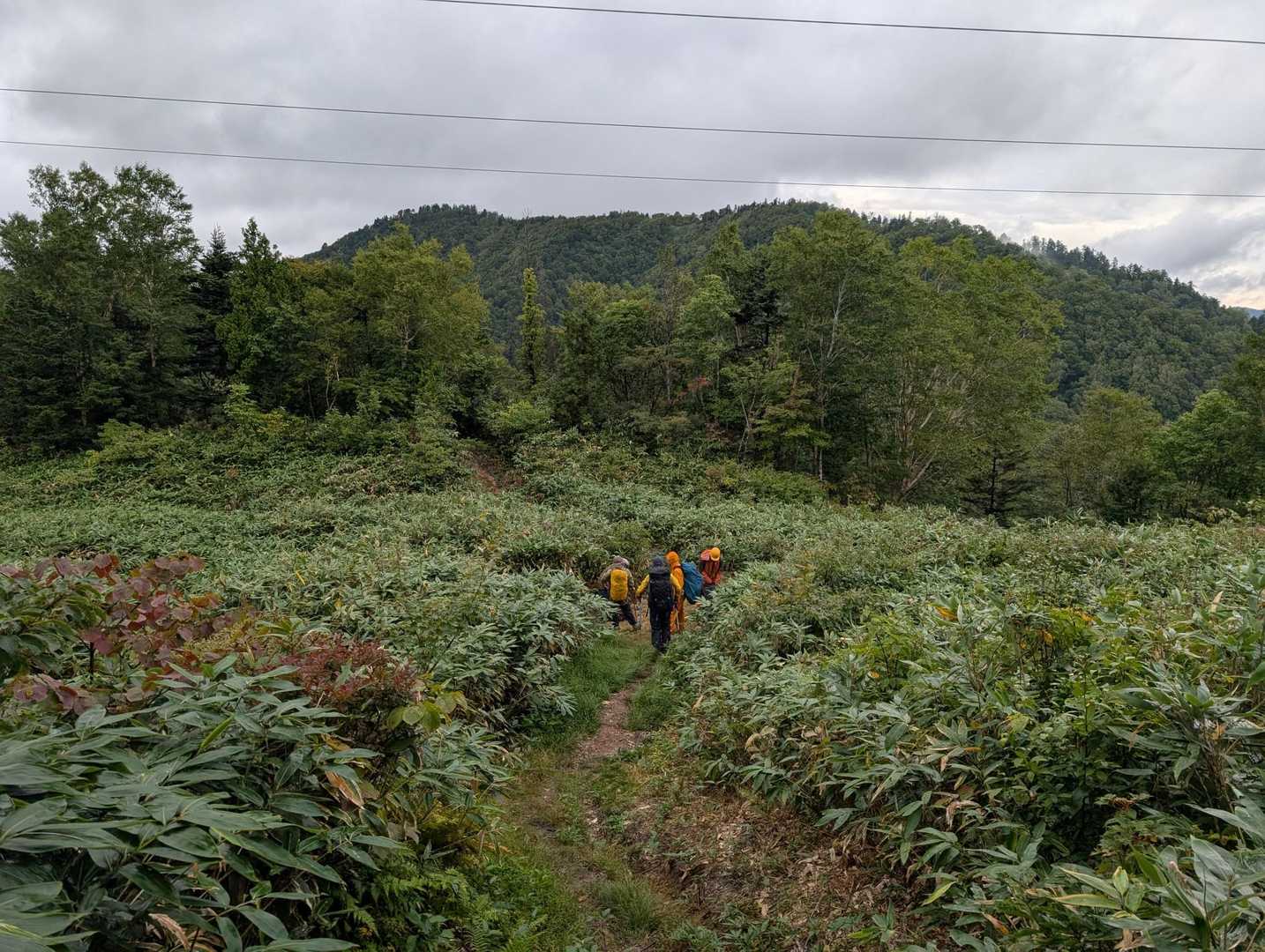 雨に降る中下山
