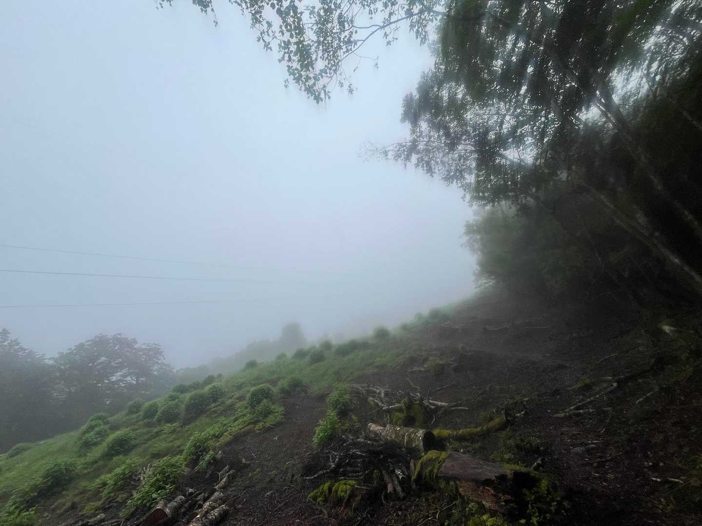 分かってたけど雨が降りだしました💦

レインウェア持ってるけど暑いから着ません🫡