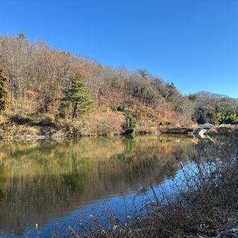大正池だそうです
隣の県のとは大違い