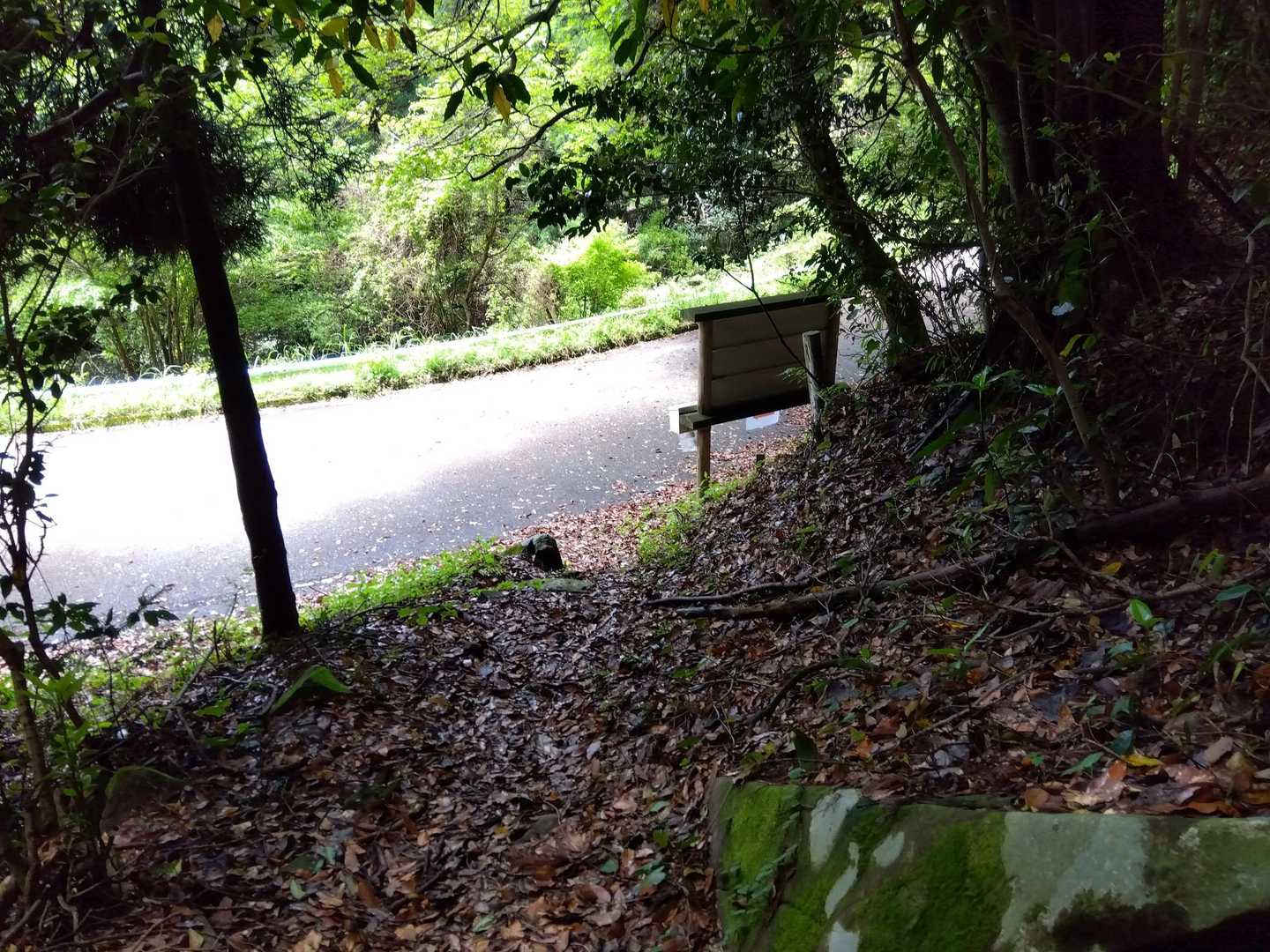 登山道から振り返ってこんな感じ