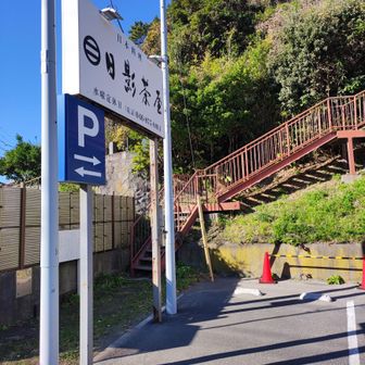 旗立山は、日影茶屋の駐車場の横の階段を上がります。

一説では、この山を戦中兵隊山と言ってたらしいです。