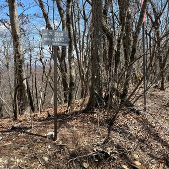 大沢山到着。こけから暫く岩の多い坂を下る。