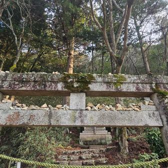 鳥居は石だらけ