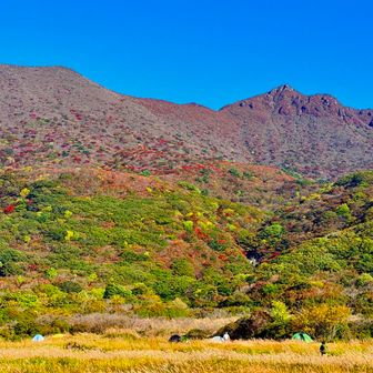 坊がつるはテントもいっぱい張ってありました🏕️
帰り道で4月頃にテント泊できたらと話してたのでやる気とタイミングがガッチリ合えばやってみたいです👍
お酒いっぱい持って行きたいです🍻