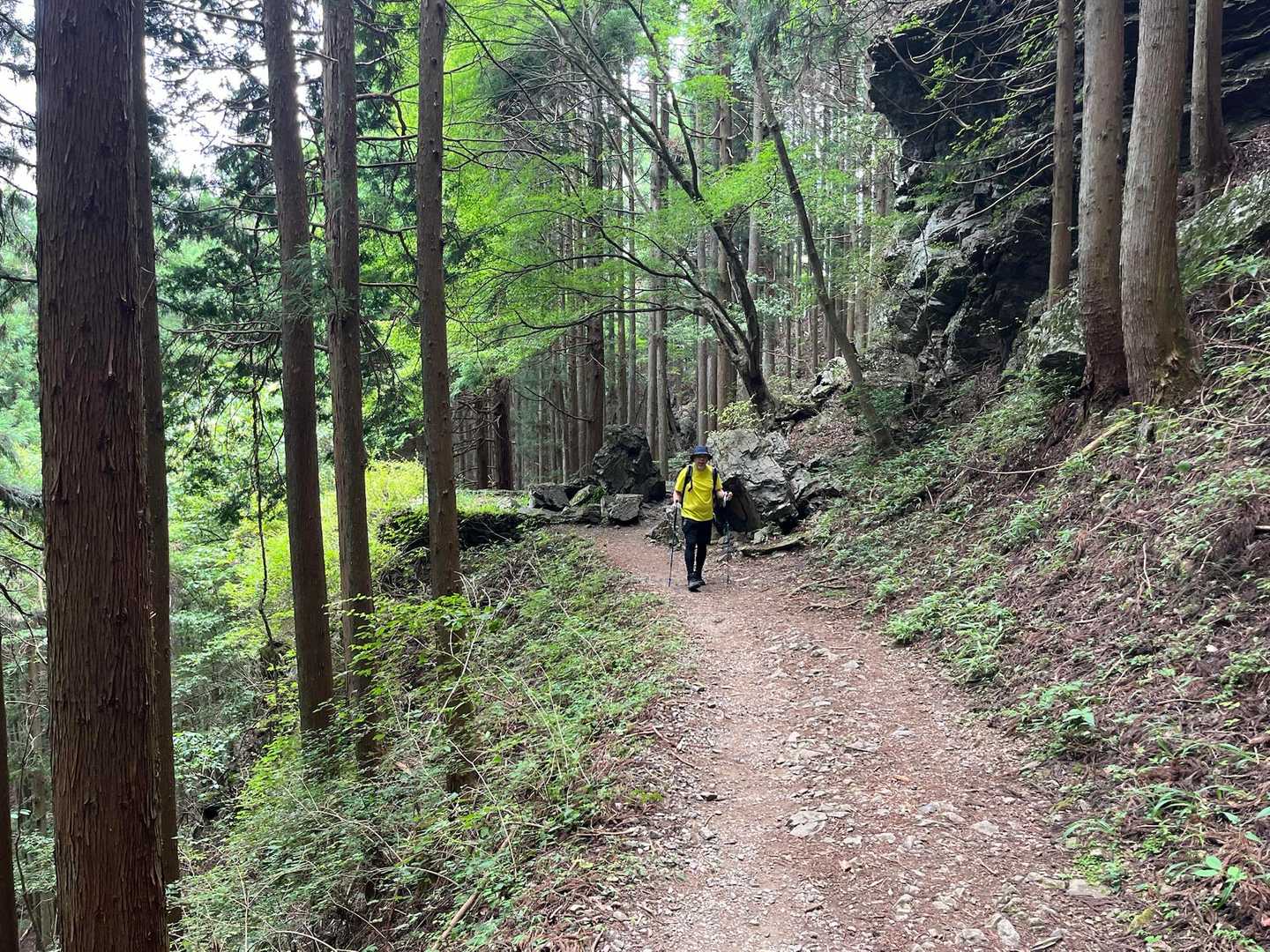 ほとんどは整備された登山道