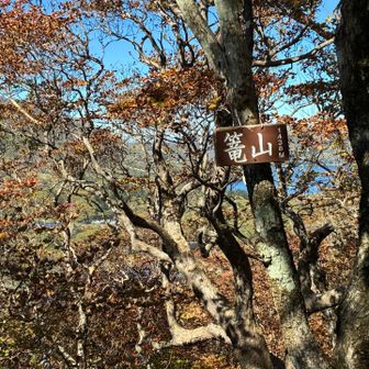 山頂表示板がこっちにも