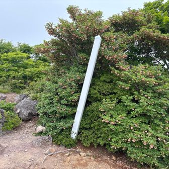 赤埴山山頂