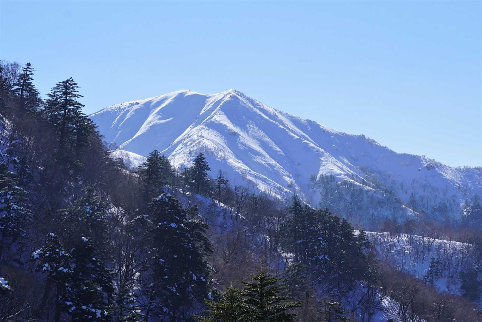 次郎笈の雄姿をもう一度眺めてから下山しました