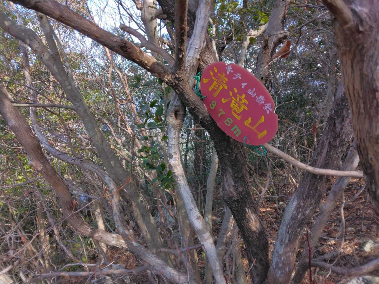 清滝山山頂