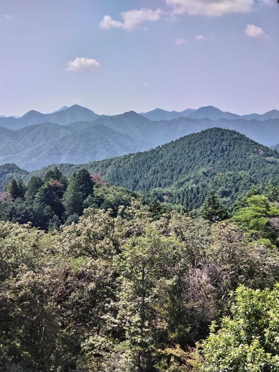 山頂から