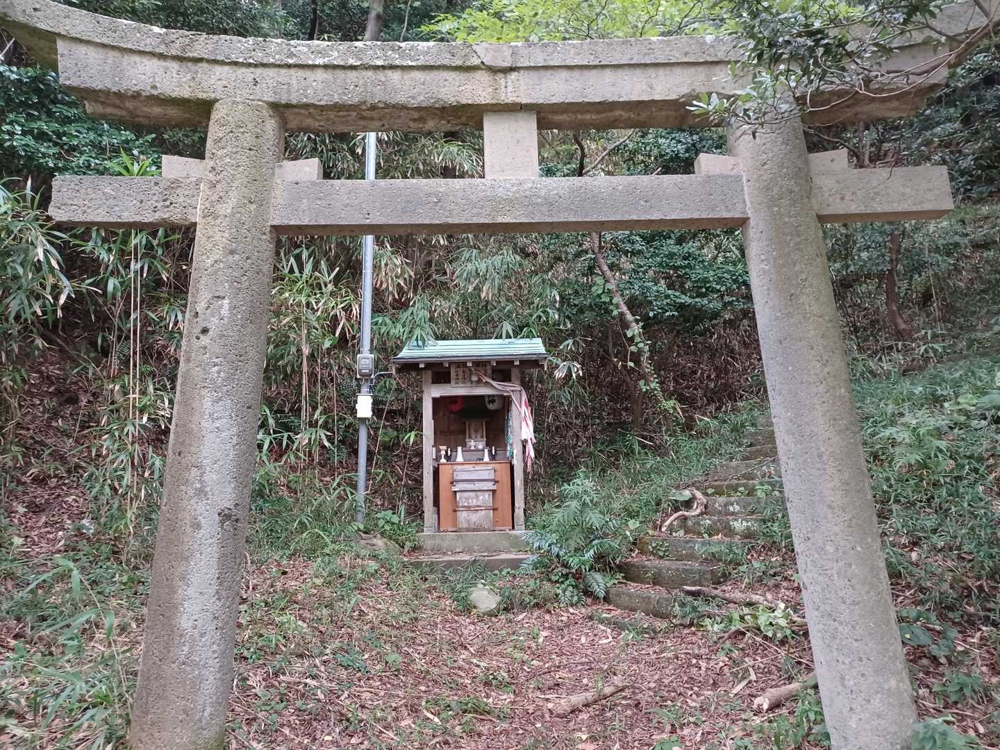 賀嶋山 往復コースの写真