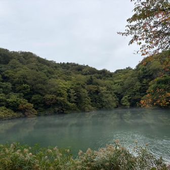 紅葉まだ早いか