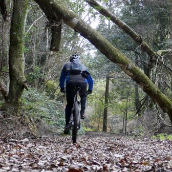 団塊おじさん2号