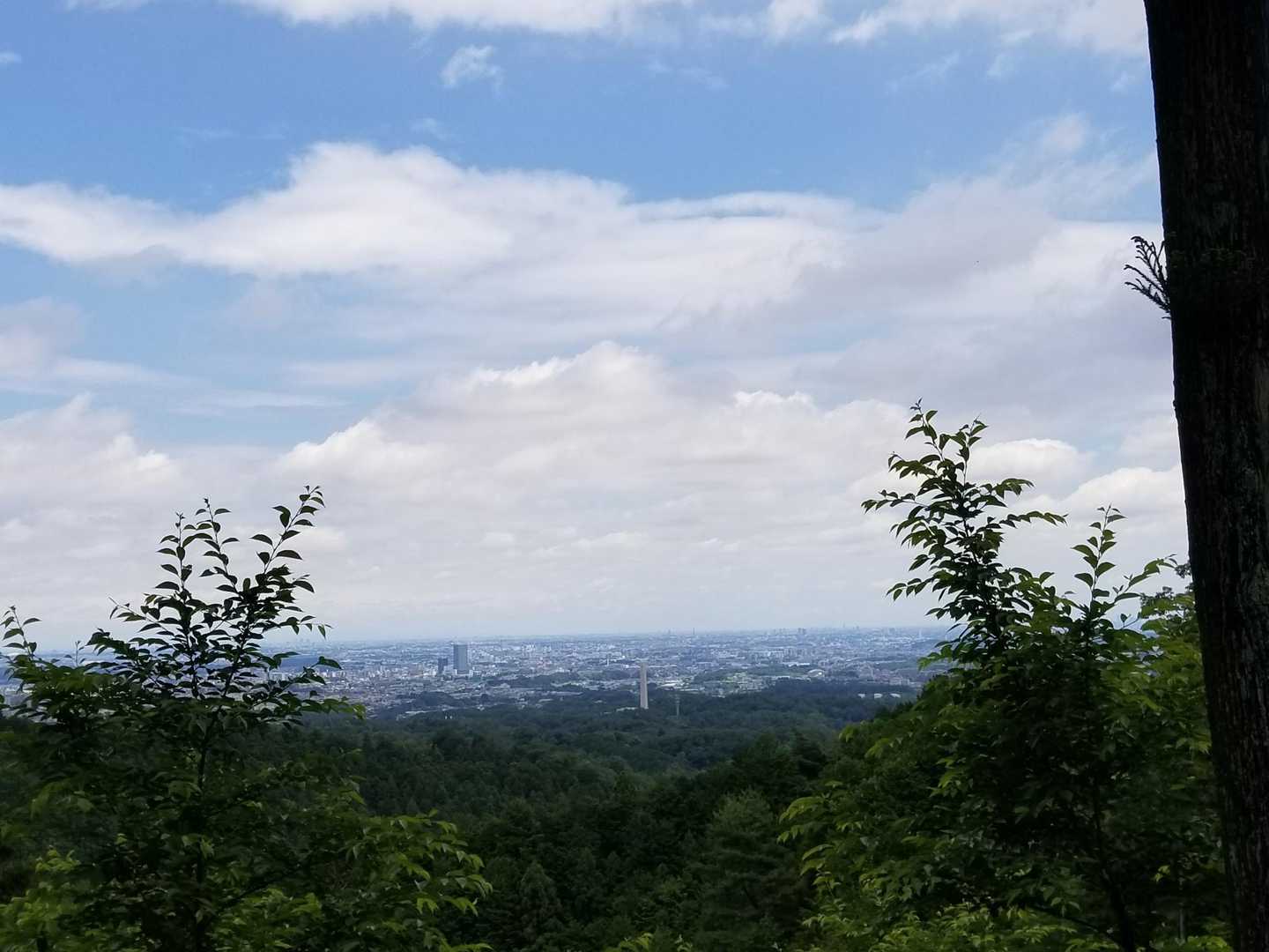 今日2ヵ所目の眺望✨
曇りだけど以外と遠くまで見えました😆