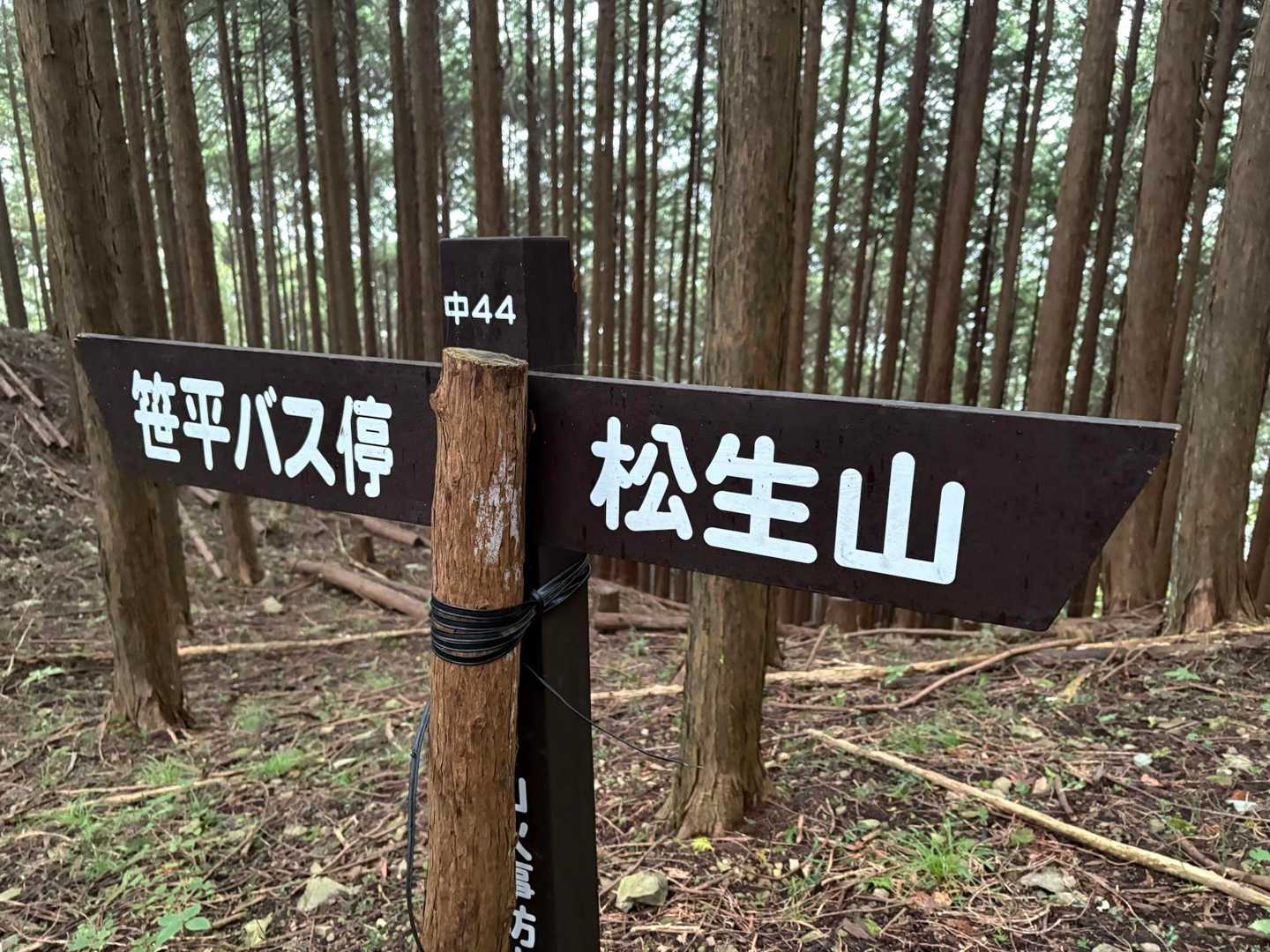 標識出てくるとホッとします😮‍💨