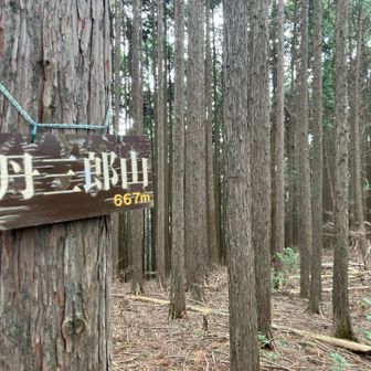 丹三郎山　山頂