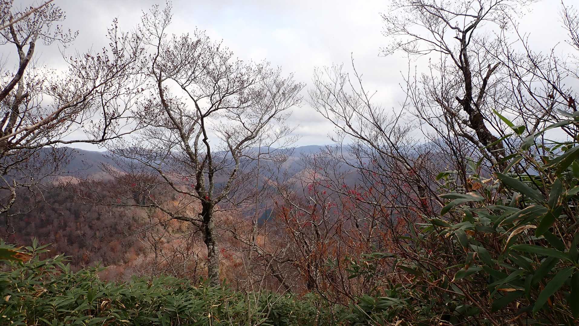 黒石沢登山口-藤里駒ヶ岳 往復コースの写真
