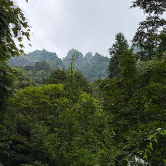 奥社の真上に戸隠山らしき山💦