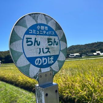 ちんではなく、らんらんです！
