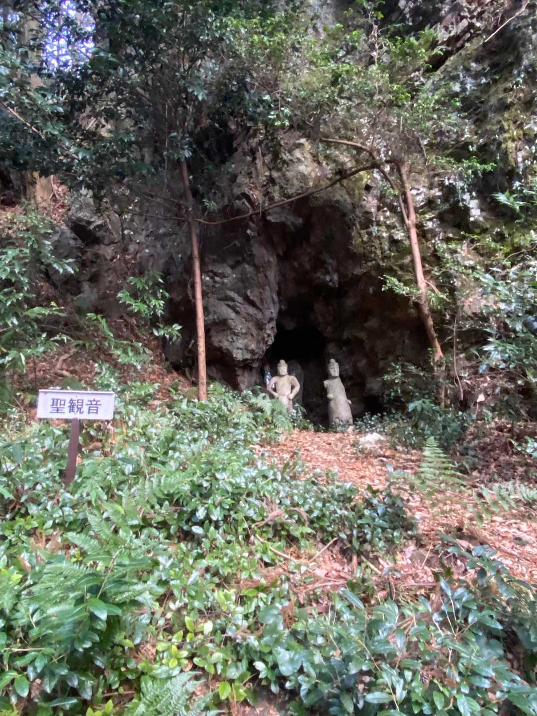 南登山道入口-南コース登山口-坊主山 往復コースの写真