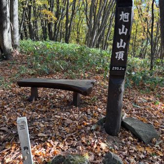 すぐピーク🚩
ハイキング🏞️に丁度良い🤭🩷