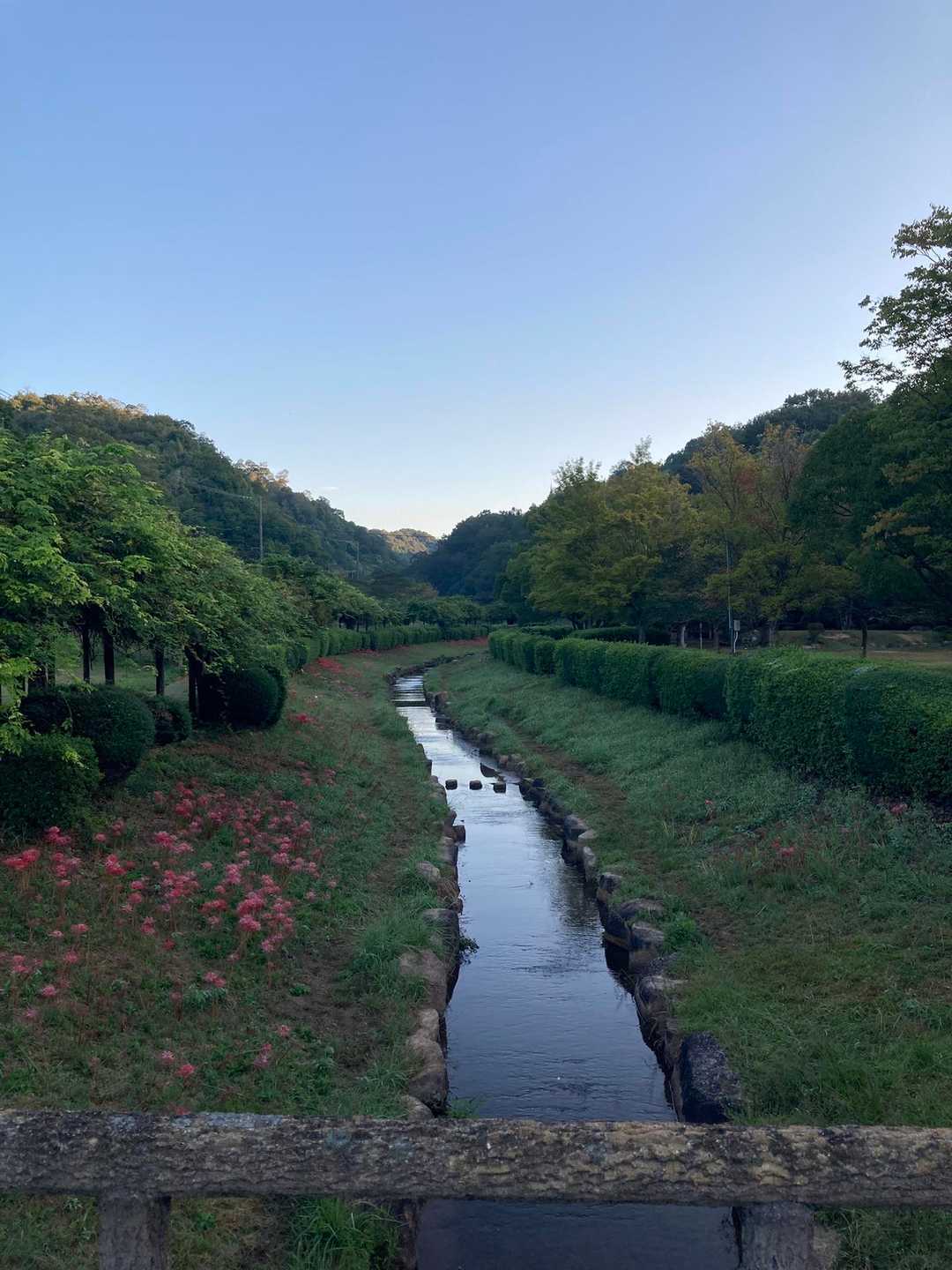 堂々公園に戻り終了