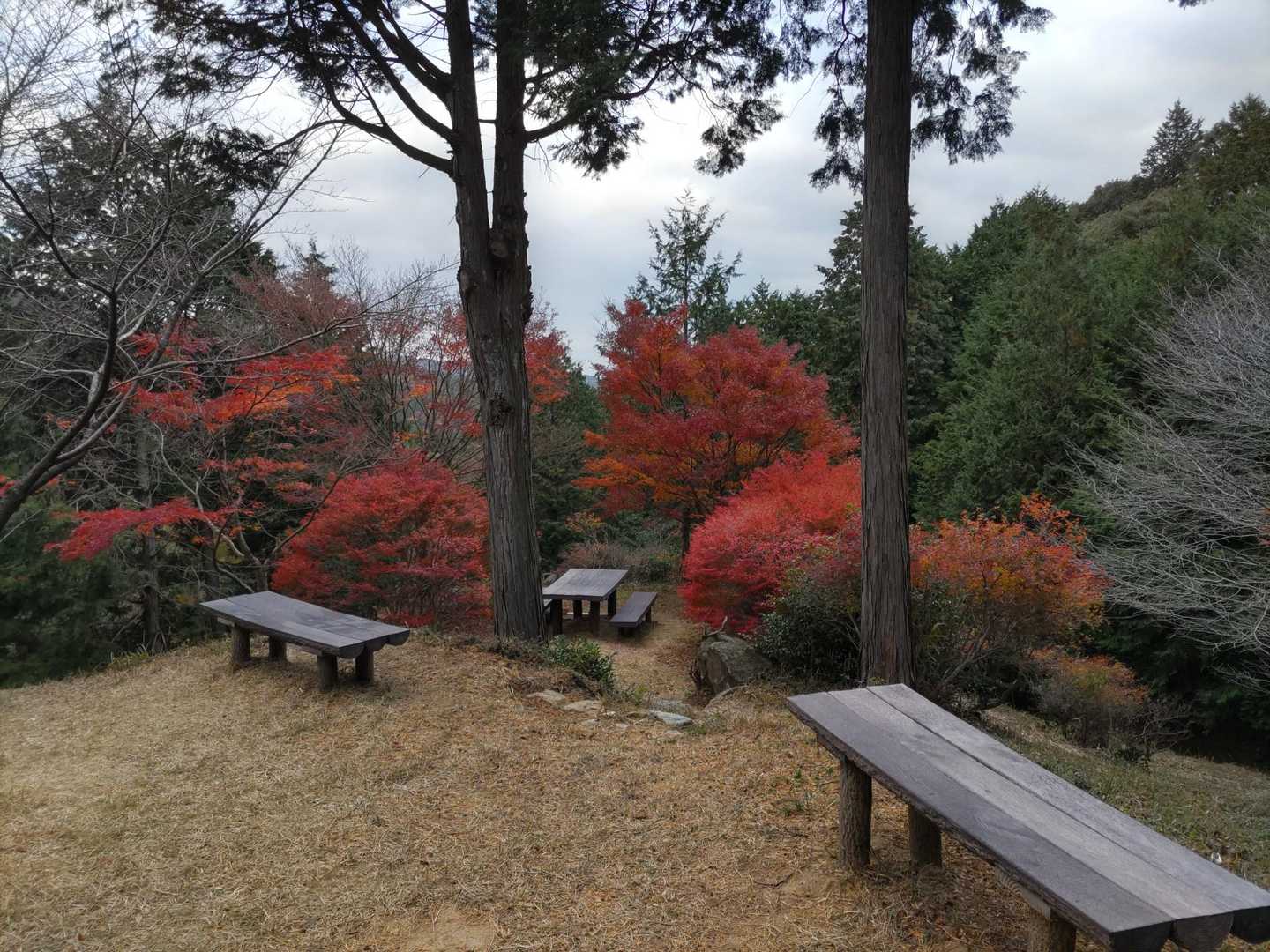 宮路山-赤坂山-五井山 往復コースの写真
