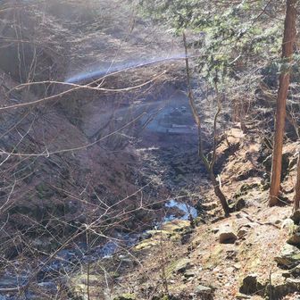 沢沿いまで降りてきて
登山口もうすぐそこに…

無事に生還
おつかれさまです💪