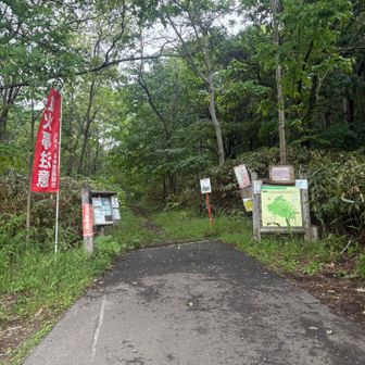 絶対ヤバい雰囲気🐻