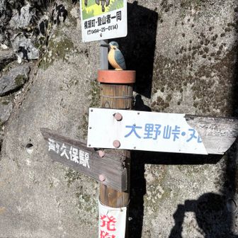あとは国道を歩いて道の駅に戻ります。