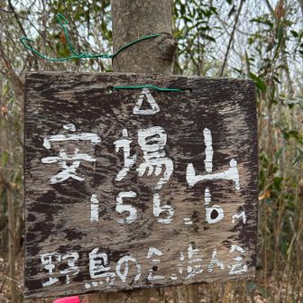 1566㍍じゃありません