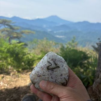 おにぎり食べて久しぶりに山で1人ポケーっとしました。めちゃくちゃ頭がスッキリ。
やっぱりこの時間は必要だな⏰

山百頑張ってた頃の懐かしい匂いがした😌