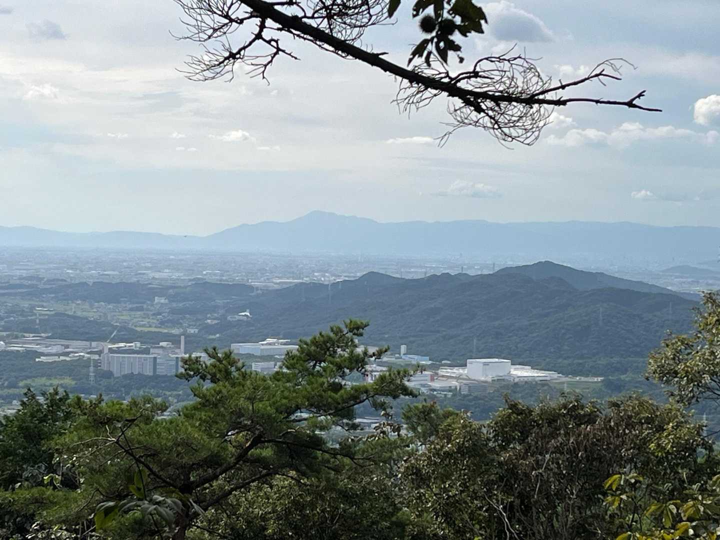 道樹山登山口-道樹山-大谷山 往復コースの写真