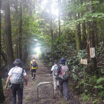 登山道へ