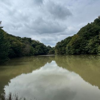 13:30 篠田池に到着、連日の雨で水量は満タンですが濁ってます