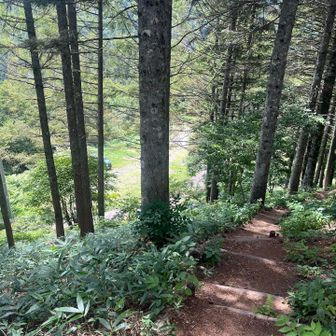 花ゾーンが済んでからは少し走って🏃‍♀️‍➡️
ただまた少し捻ってしまって捻挫を悪化させたかも😂こんな時はやっぱり歩いた方がいいですね