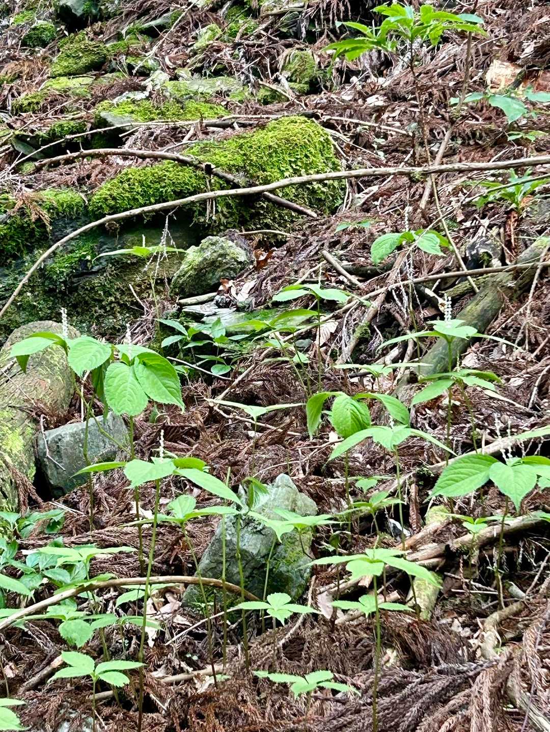ヒトリとフタリ