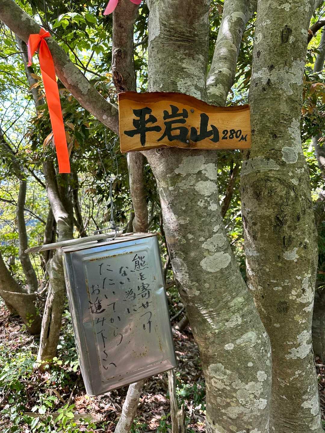 平岩山山頂