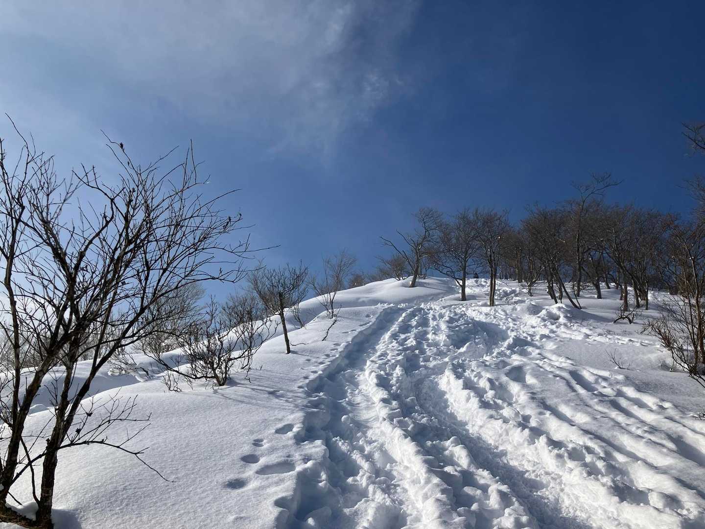 快晴で文句なし