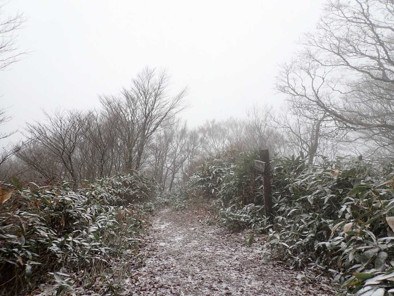 金ヶ谷山の山頂に戻って来ました