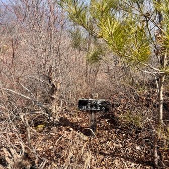 ここにでました😑