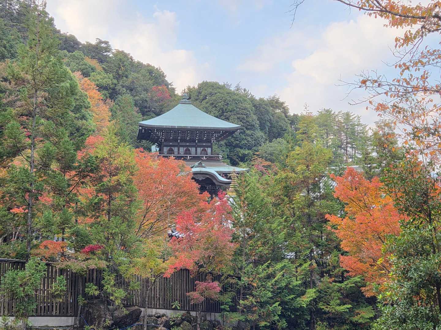 ｢大聖院｣まで降りてきたー