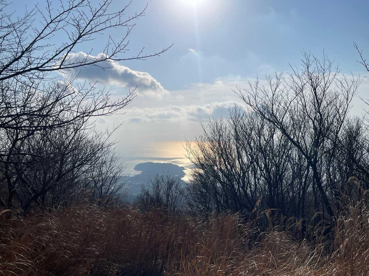 山頂からの景色