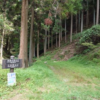 登山口に戻りました！