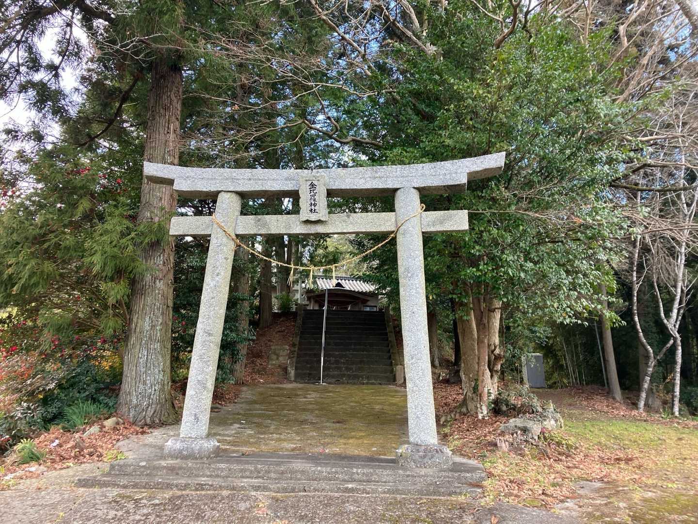 無事到着です。