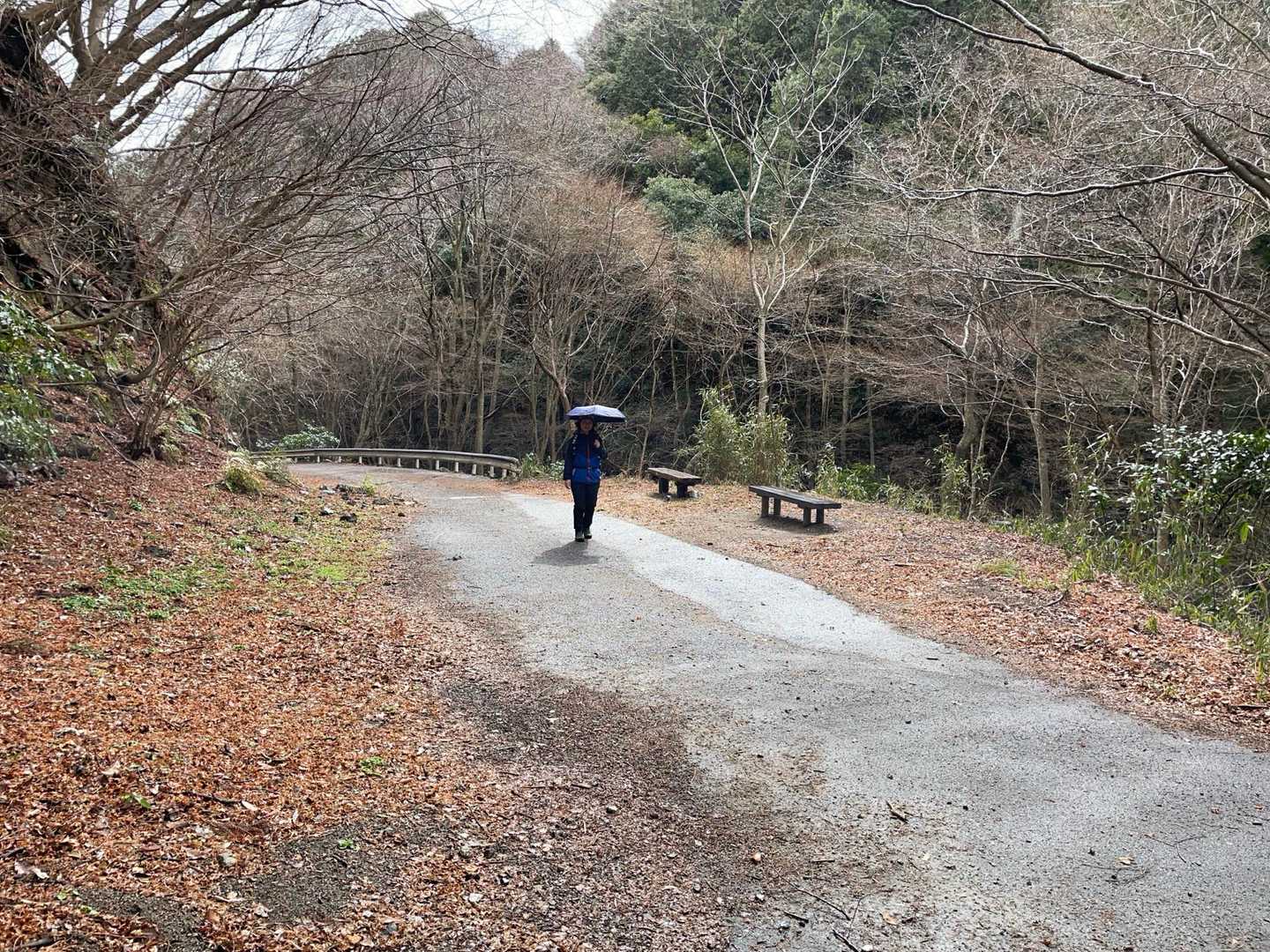 明るくなってきた。傘持ってきて良かった🌂