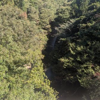 秋山側