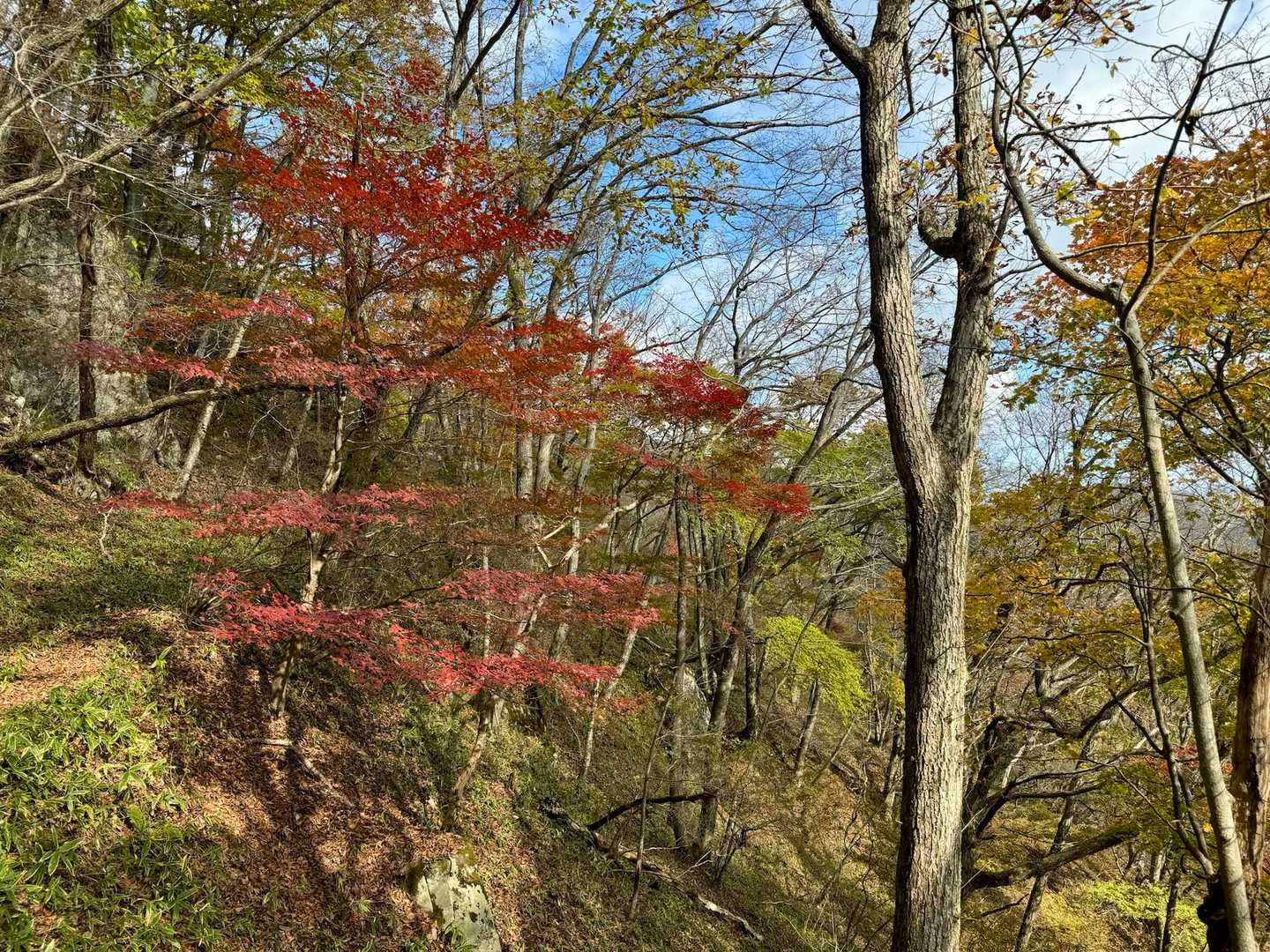 すずらんコース登山口-氷上山 往復コースの写真