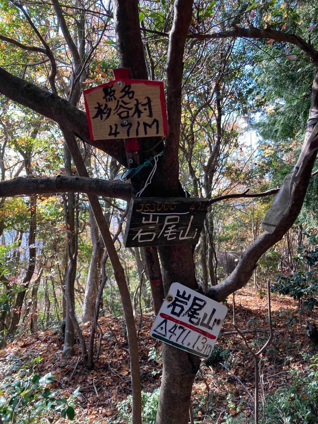 息障寺-岩尾山 往復コースの写真