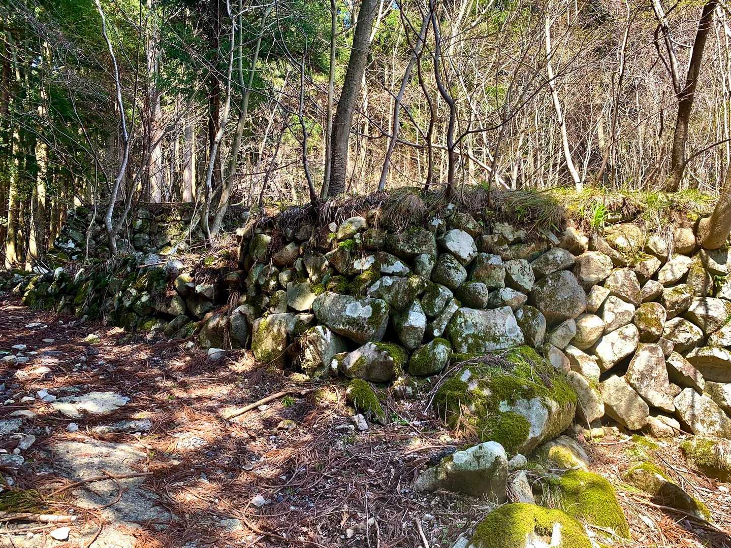 この石積み、棚田の跡だそうです。